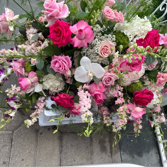 Meet your Posher, Tamara - Picture 8 of 16